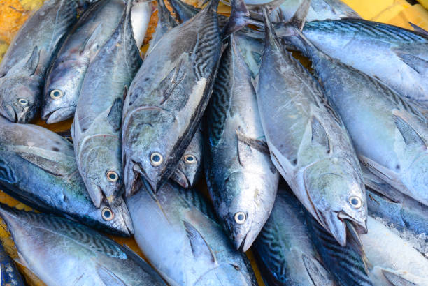 istock Fresh fish in Asian market 1623038347