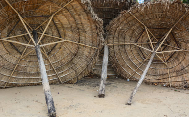 istock Wooden umbrellas on the beach 1623044905
