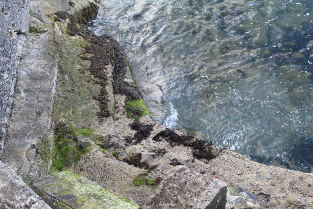 istock Sea crashing against mossy wall 1623050552