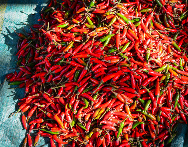 istock Pile of fresh red chilli peppers 1623051625