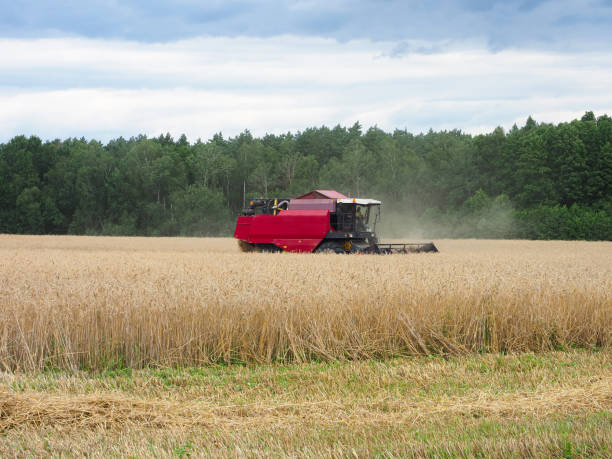 istock Combine harvester working on a wheat field. Agricultural machinery 1623062114