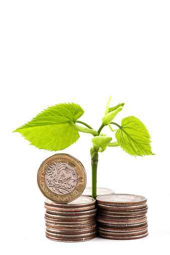 Young sprout with green leaves and 1 british pound coin on white background
