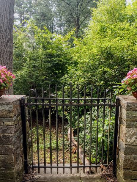 istock Gated Entry to the Woods 1623073460