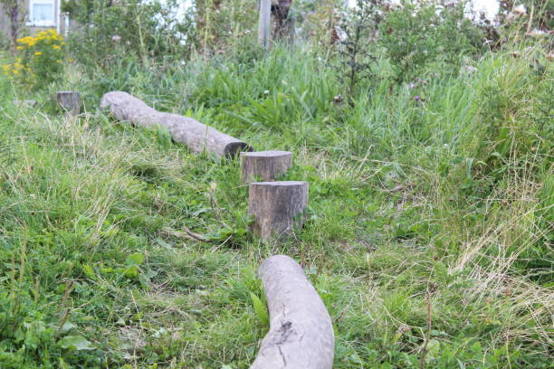 istock Wooden Playground Log over Grass 1623073984
