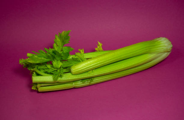 stalk of celery with leaves on a pink background