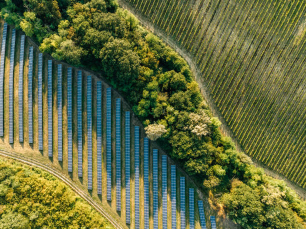 Aerial view of a solar farm in the countryside Aerial view of a solar farm in the countryside. Environment and green energy concept. solar panel tree pictures stock pictures, royalty-free photos & images