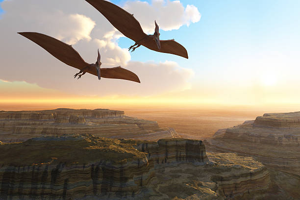 Prehistoric Canyon Two Pterosaur prehistoric bird dinosaurs fly over a deep canyon gorge. cretaceous photos stock pictures, royalty-free photos & images
