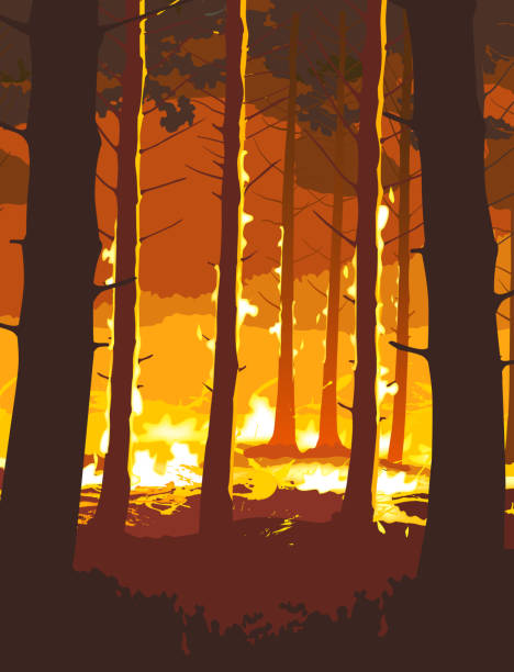산불 - global warming pollution deforestation carbon dioxide stock illustrations