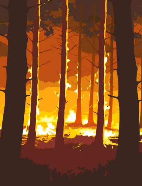 Vector illustration of Forest Fire