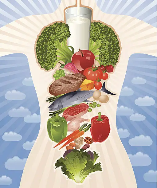 Vector illustration of Healthy Body Composed by Healthy Food Vector