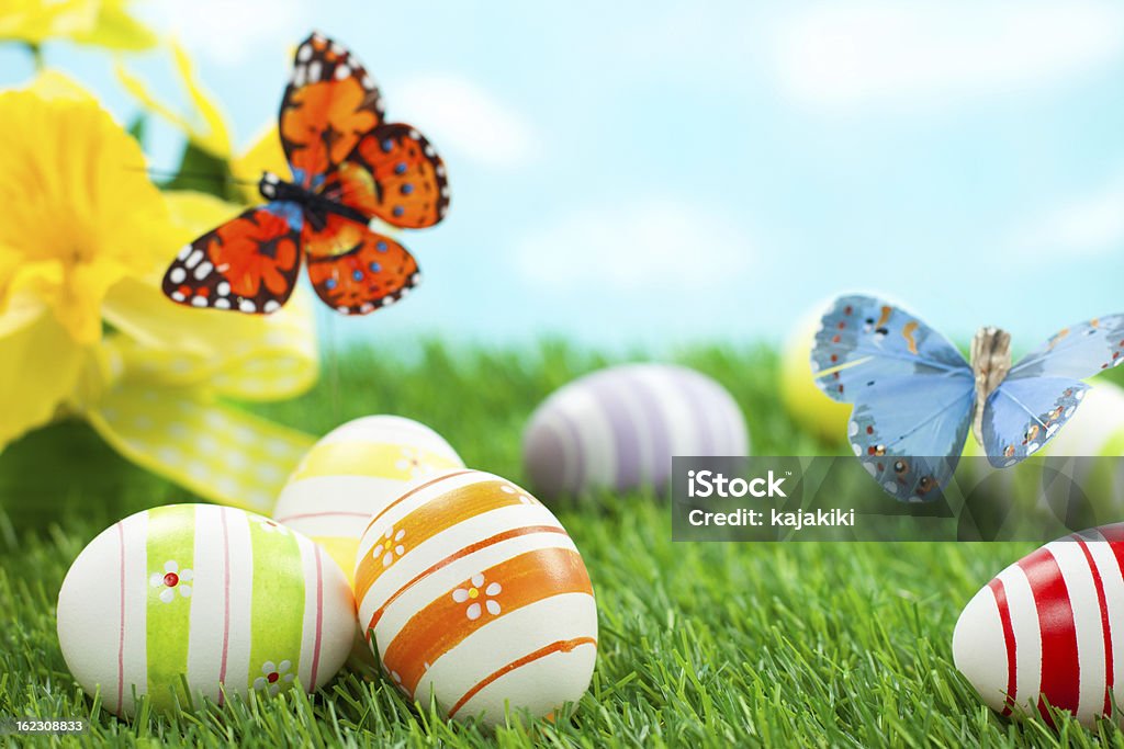 Colorful Easter Eggs Easter Eggs on a green grass Easter Stock Photo