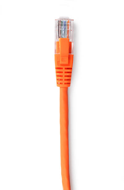 spina ethernet - network connection plug cable computer cable telecommunications equipment foto e immagini stock