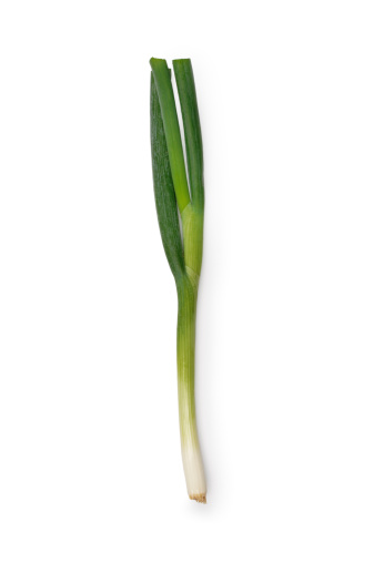 Single spring onion isolated on white.