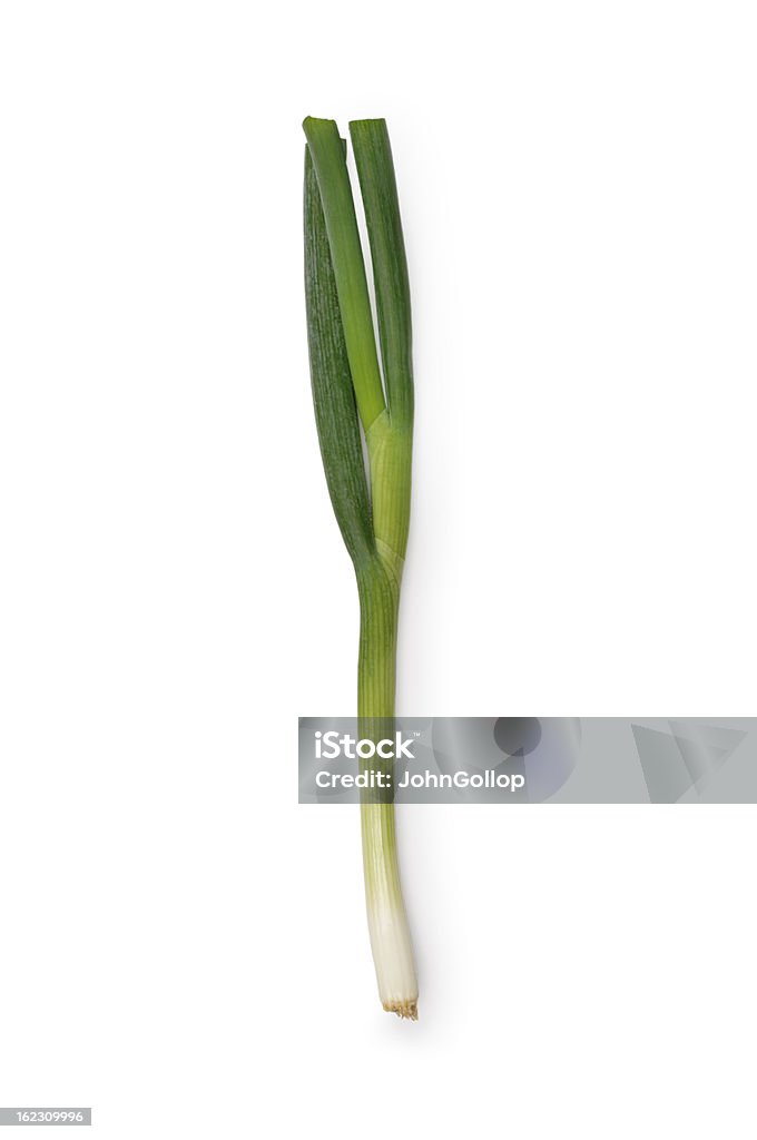 Spring Onion Single spring onion isolated on white. Scallion Stock Photo