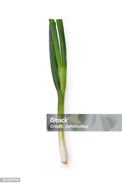 Spring Onion Stock Photo - Download Image Now - Scallion, Cut Out, Onion