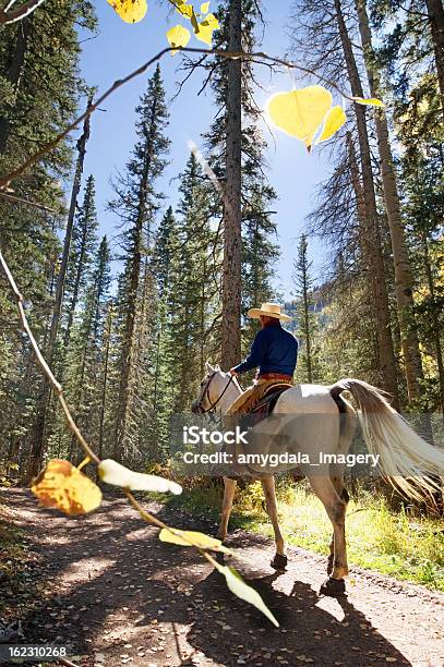 Photo libre de droit de Cheval Équitation Forêt banque d'images et plus d'images libres de droit de Monts San Juan - Monts San Juan, Les Rocheuses, Monter à cheval