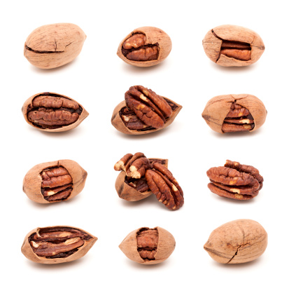 Pecan nuts set isolated on white background