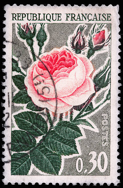 istock French Vintage Postage Stamp 162310623