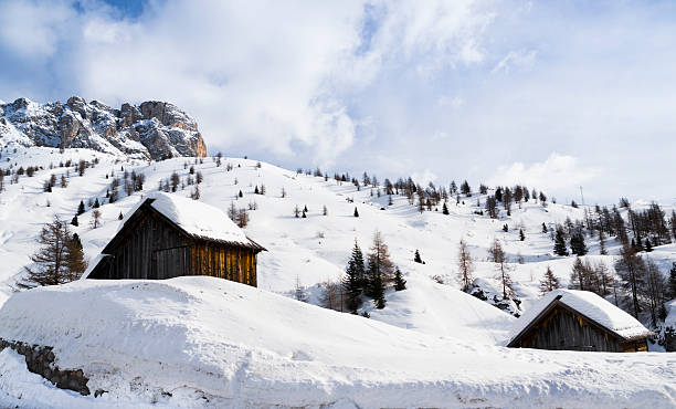 istock Houses in the snow 162310745