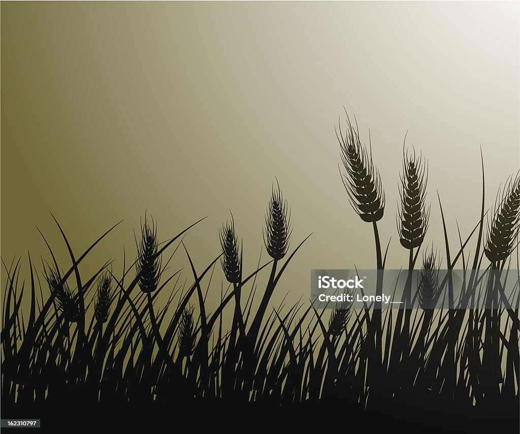 Field of wheat Vector image of wheat field Agricultural Field stock vector