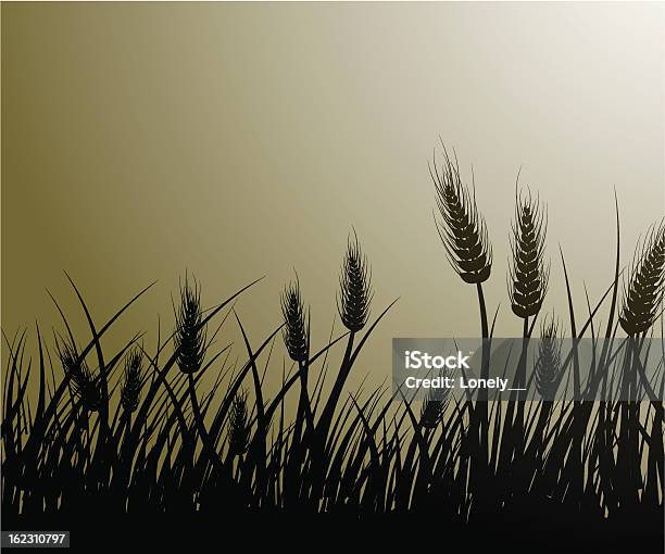 Field Of Wheat Stock Illustration - Download Image Now - Agricultural Field, Wheat, Corn