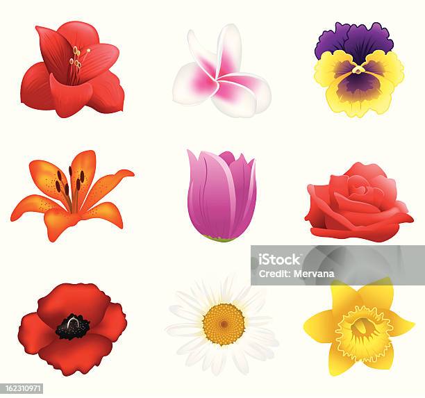 Zbiór Kwiatów - Stockowe grafiki wektorowe i więcej obrazów Amarylis - Amarylis, Grafika wektorowa, Ilustracja