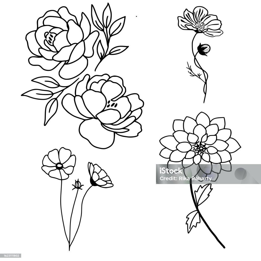 Flower Line Renty Flower Line Art Bundle Stock Illustration - Download Image Now - Black ...