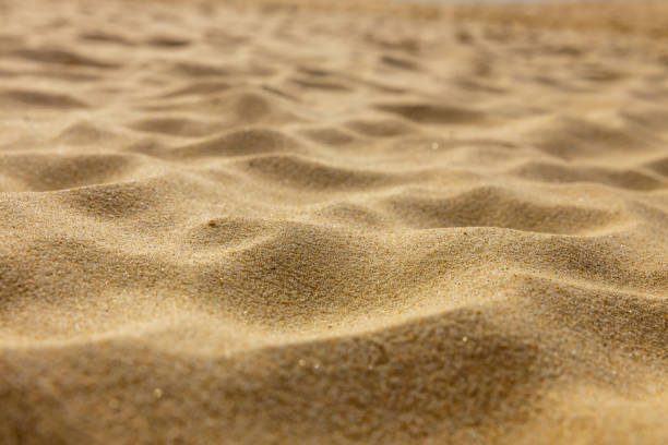 istock wavy surface of sand on the beach desert or dune 1623116227