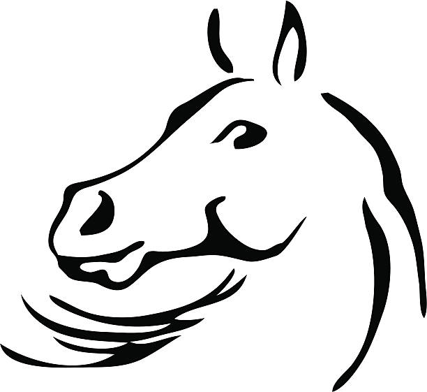 ilustraciones, imágenes clip art, dibujos animados e iconos de stock de blanco y negro vector contornos de un caballo - mythology horse pegasus black and white