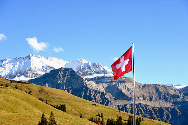 bandeira suíça, em frente dos alpes berneses panorama - european alps season autumn plant - fotografias e filmes do acervo