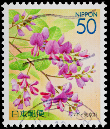 Beautiful Pastel Flowers on Japanese Vintage Postage Stamp. Hanakotoba (flower-language) is the Japanese language of flowers wherein specific flowers have specific emotions and feelings assigned to them. Fir instance., the Azalea flower has \