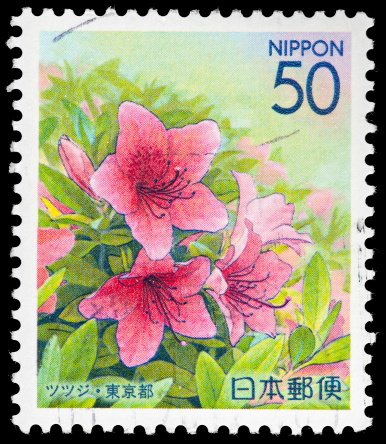 Beautiful Pastel Flowers on Japanese Vintage Postage Stamp. Hanakotoba (flower-language) is the Japanese language of flowers wherein specific flowers have specific emotions and feelings assigned to them. Fir instance., the Azalea flower has \