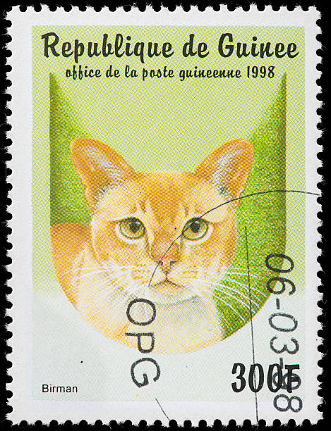 istock Vintage Postage Stamp depicting Birman Cat 162313256