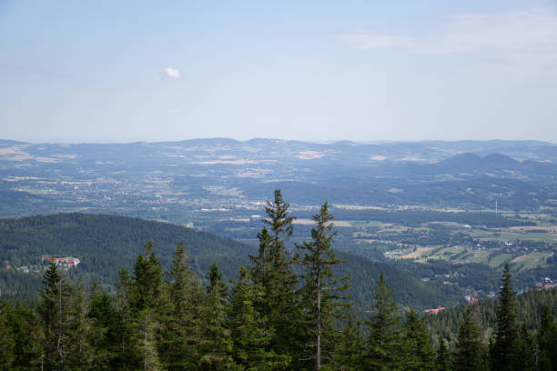 istock Captivating City, Forest, and Mountain Vistas from Peak 1623145235