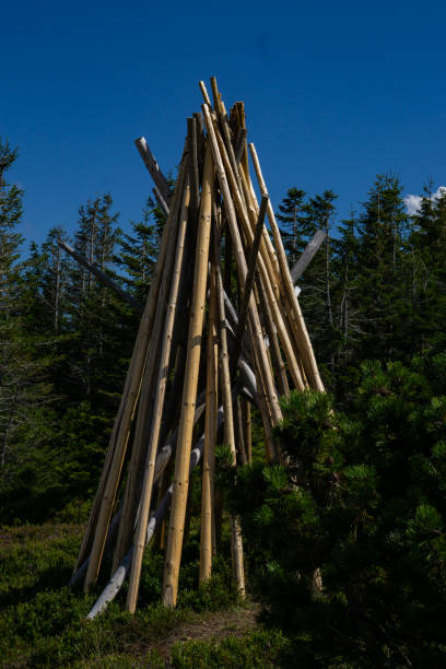 istock Stacked Long Logs Creating Cone Shapes in the Forest 1623151226