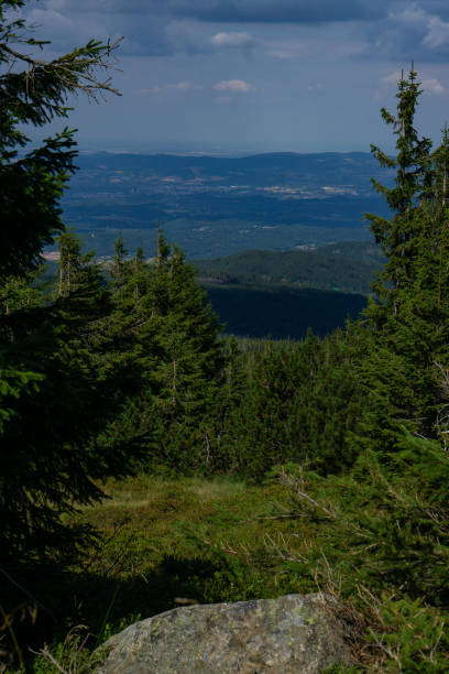 istock Nature's Window: Overlooking the Landscape Through Hilltop Trees 1623151228