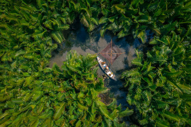 istock Catching fish in nipa palm jungle 1623159758