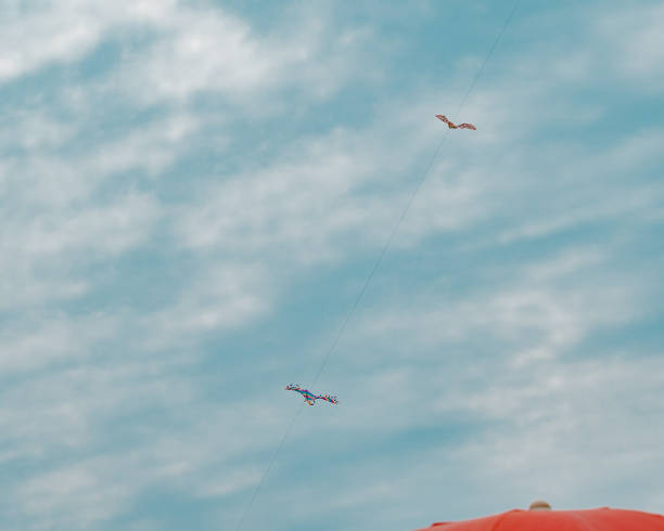 istock Kites flying in mid-air against cloudy sky during summer 1623161483