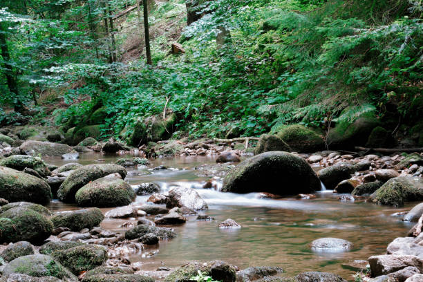 istock Scenic view of stream flowing through rocks in Black Forest 1623164753