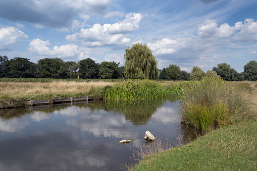 Bushy Park on a sunny afternoon in August with appled clouds