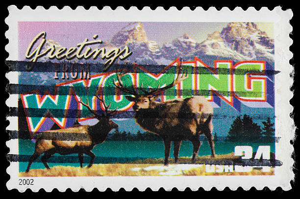 Wyoming State Postage Stamp GREETINGS FROM AMERICA Retro Postcard Theme