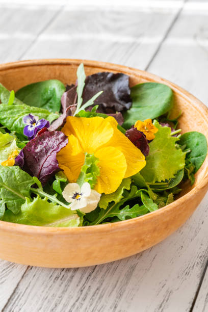 istock Bowl of salad 1623176955