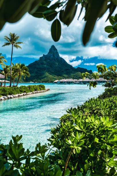 istock Tropical Island of Bora Bora 1623185705