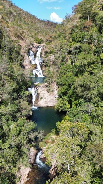 istock Brazilian cerrado forest 1623191591
