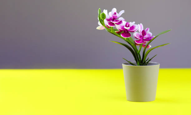 Pink orchid in flower pot on colored yellow grey background. Orchid flower banner with copy space, minimalistic concept. Purple orchid artificial flower in pot on colorful background Pink orchid in flower pot on colored yellow grey background. Orchid flower banner with copy space, minimalistic concept. Purple orchid artificial flower in pot on colorful background artificial flower stock pictures, royalty-free photos & images