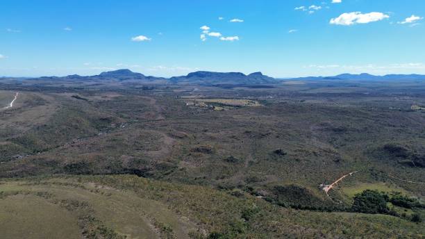 istock Brazilian cerrado forest 1623192682