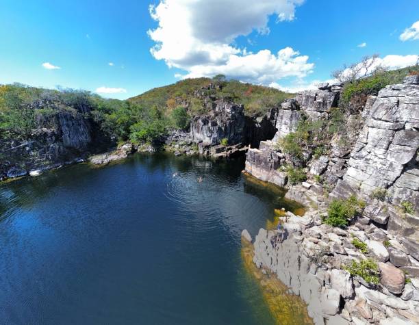 istock Brazilian cerrado forest 1623192693