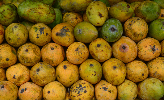 Sweet mango fruits at the rural market in New Delhi, India.