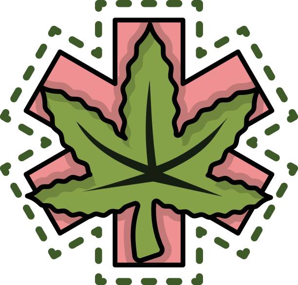 Cannabis Healthcare and Medicine sign concept, Therapeutic Effects of cannabinoids vector icon design, Cannabis and marijuana symbol, thc and cbd sign, recreational herbal drug stock illustration Cannabis Healthcare and Medicine sign concept, Therapeutic Effects of cannabinoids vector icon design, Cannabis and marijuana symbol, thc and cbd sign, recreational herbal drug stock illustration dioecious stock illustrations