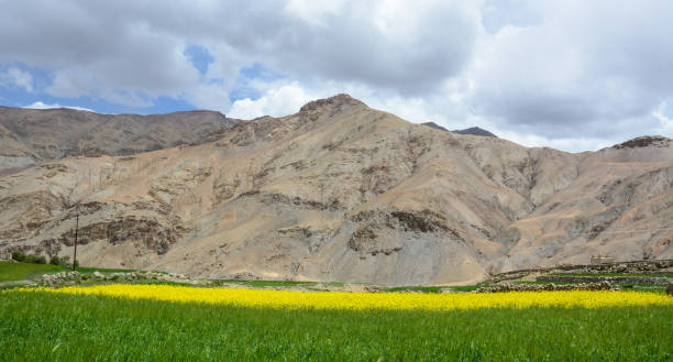 istock Mountain scenery in Ladakh, India 1623206552